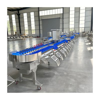 220V/380V 자동 생선 오이스터 채소 망고 아보카도 가중 분류기