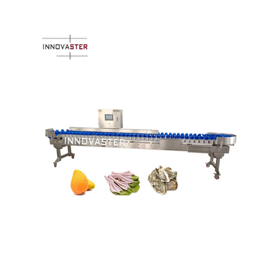 220V/380V 컨베이어 벨트 셰크 웨이거 생선 새우 오이스터 해산물