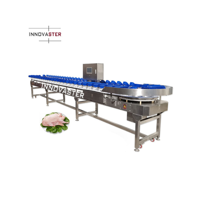 220V/380V 수산용 자동 무게 분류 분류 기계