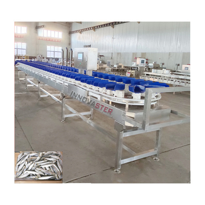 6000x1250x1750mm 냉동 치킨 다리/날개/아볼론 가중 및 분류 기계 500kg