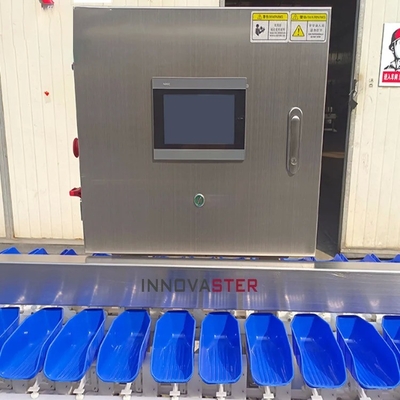 6000x1250x1750mm 냉동 치킨 다리/날개/아볼론 가중 및 분류 기계 500kg