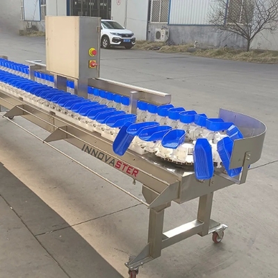 6000x1250x1750mm 냉동 치킨 다리/날개/아볼론 가중 및 분류 기계 500kg