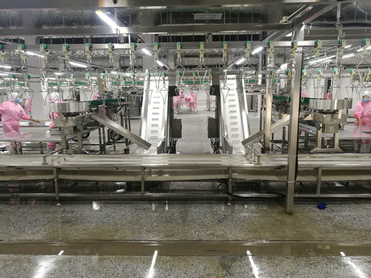 고기 가공용 고속 멀티 트레이 회전 무게 오이스터 생선 분류 기계