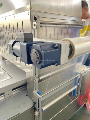 변형 된 대기 냉동 건조 된 술용 두리안 포장 기계 220V/380V/460V